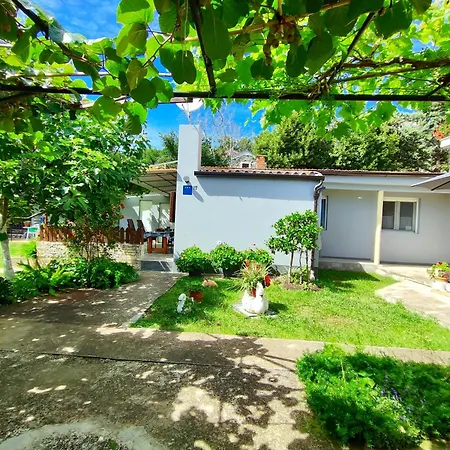 Pavao 1402